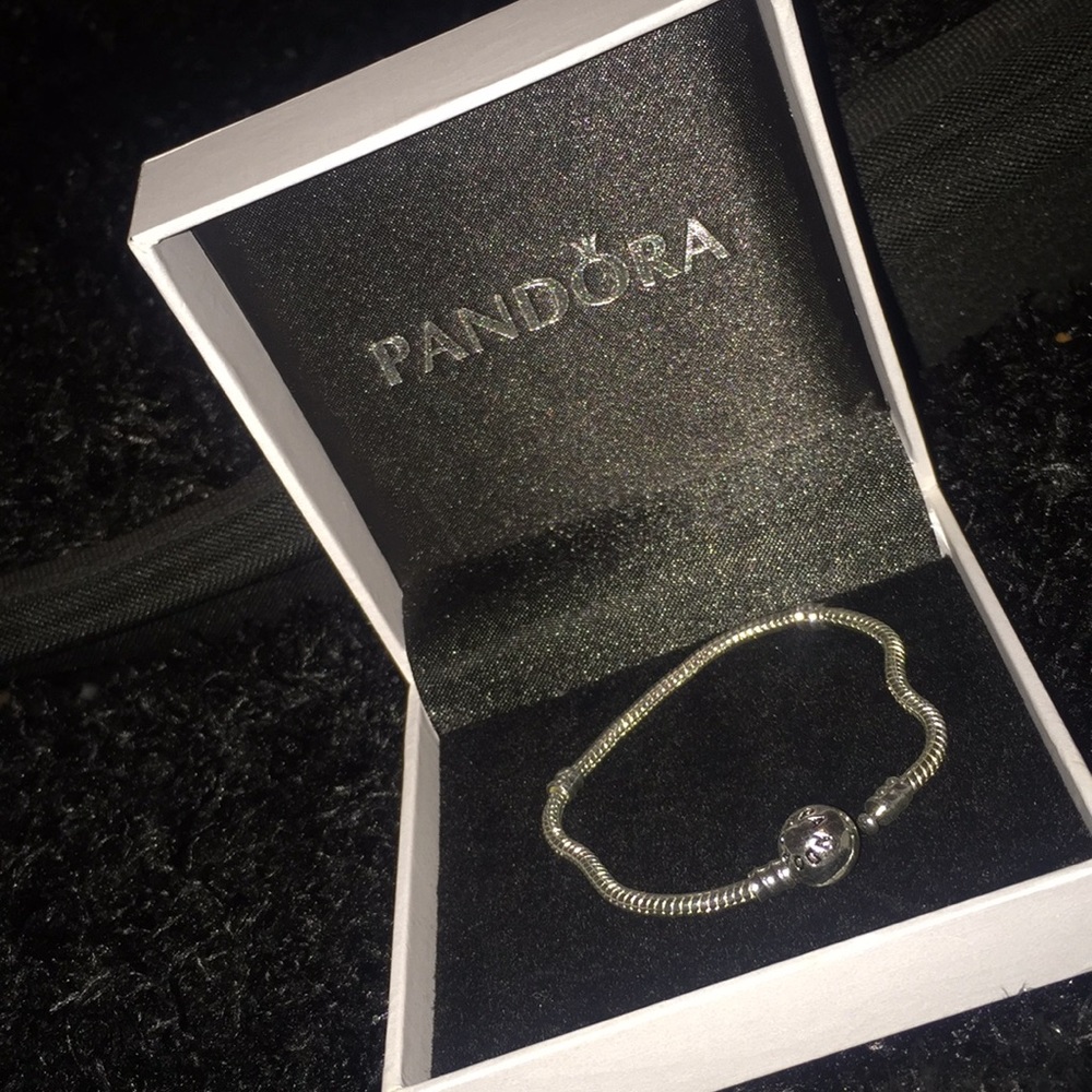 Sterling Silver Mesh Pandora Bracelet